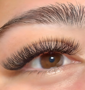 303 VOLUME FULL SET FOX EYE DRAPER